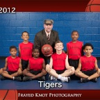 tigers8x10teamsmaller.jpg